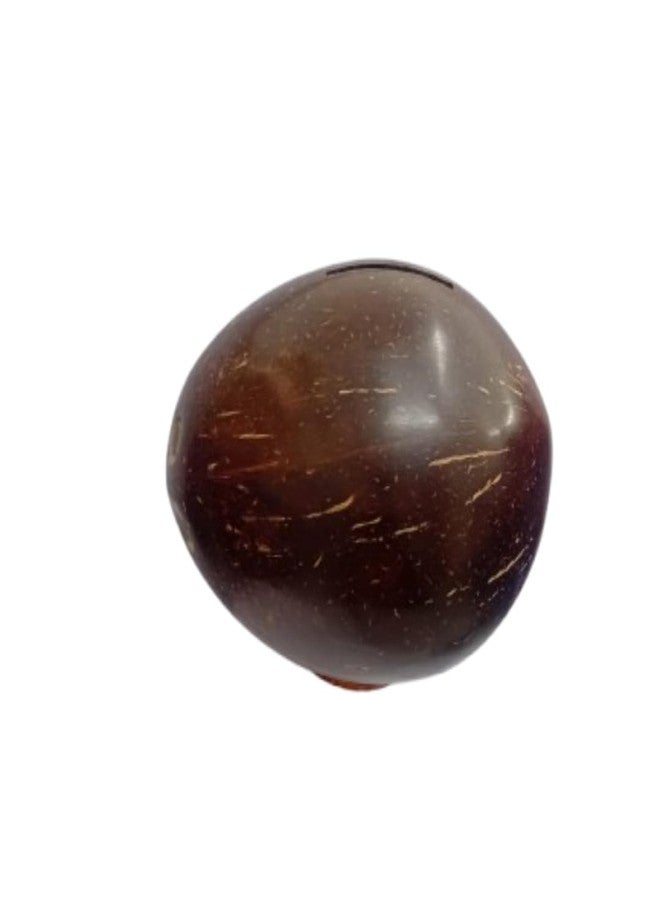 NAMAKA Coconut Shell Piggy Bank | Eco-Friendly Handmade Coin Bank with Glossy Finish | Openable Back Lid | Ideal Gift for Kids, Adults & Loved Ones | Unique Money Saver for Coins & Cash - Image 1